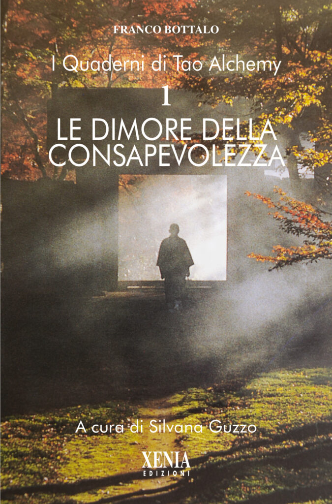 Le dimore della consapevolezza - I quaderni di Tao Alchemy 1